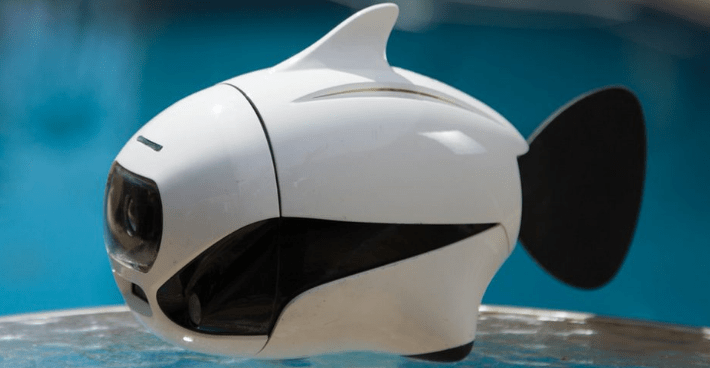 ssl-blog-post-i_27140931 (1)